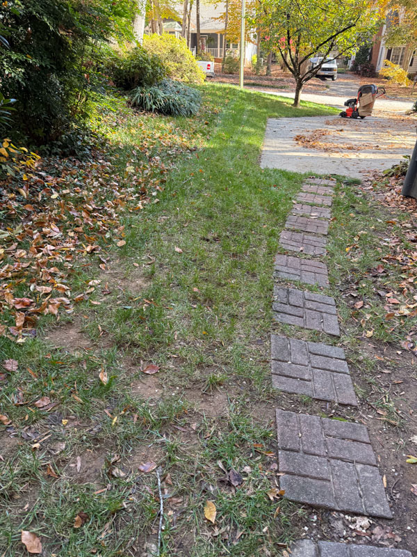 Grass getting started